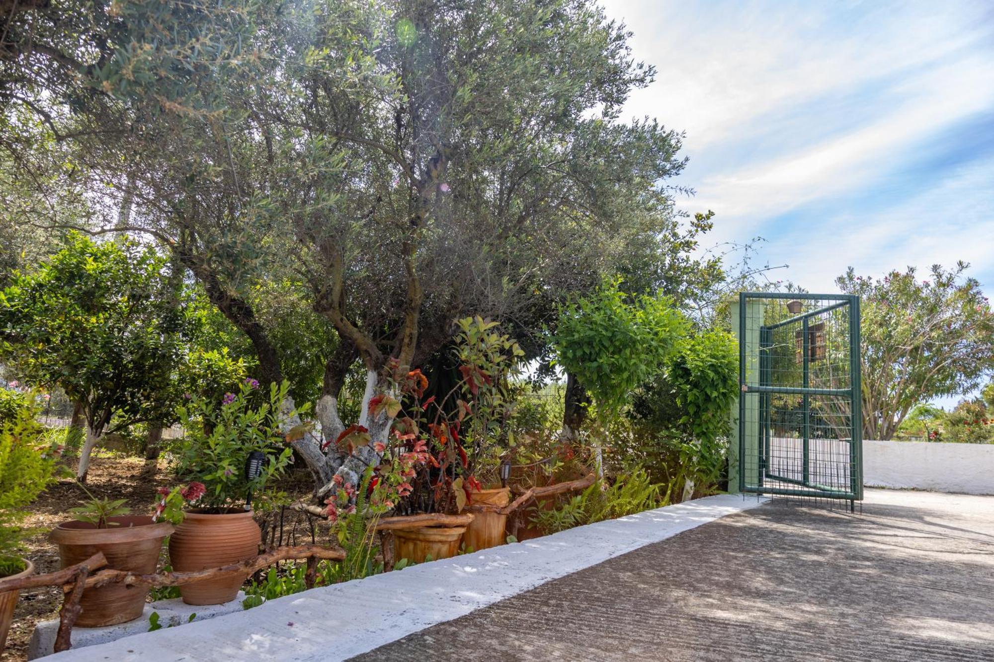 Sea & Olives House Villa Ликсури Екстериор снимка