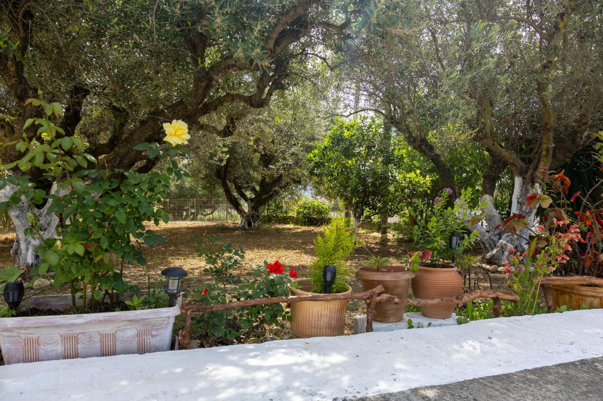 Sea & Olives House Villa Ликсури Екстериор снимка