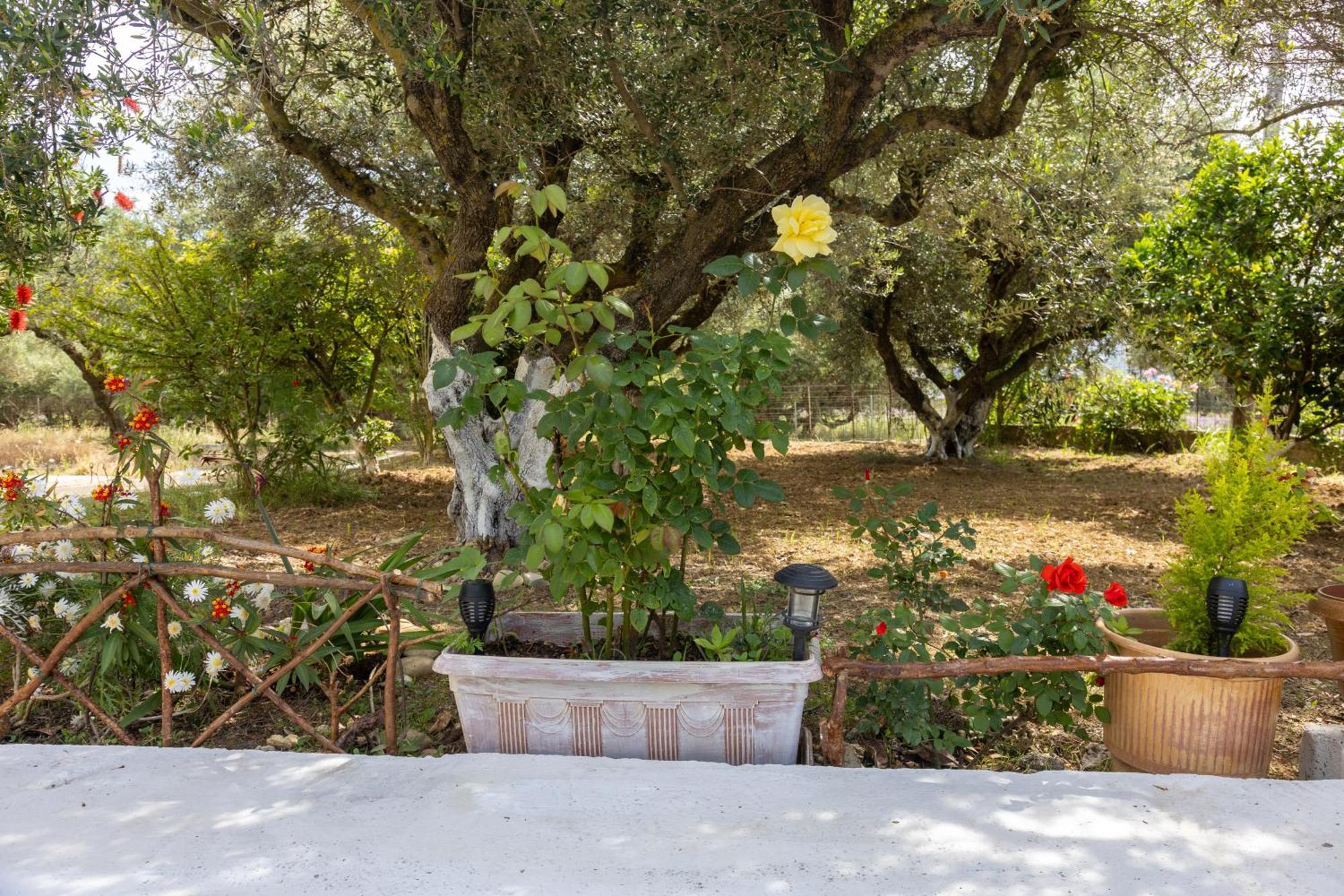 Sea & Olives House Villa Ликсури Екстериор снимка