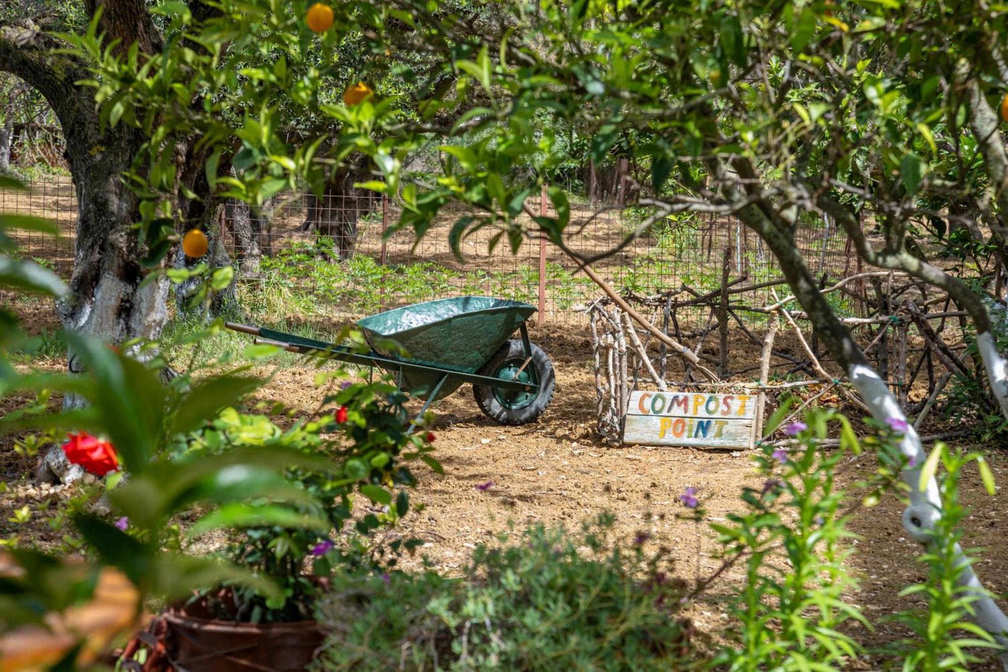 Sea & Olives House Villa Ликсури Екстериор снимка