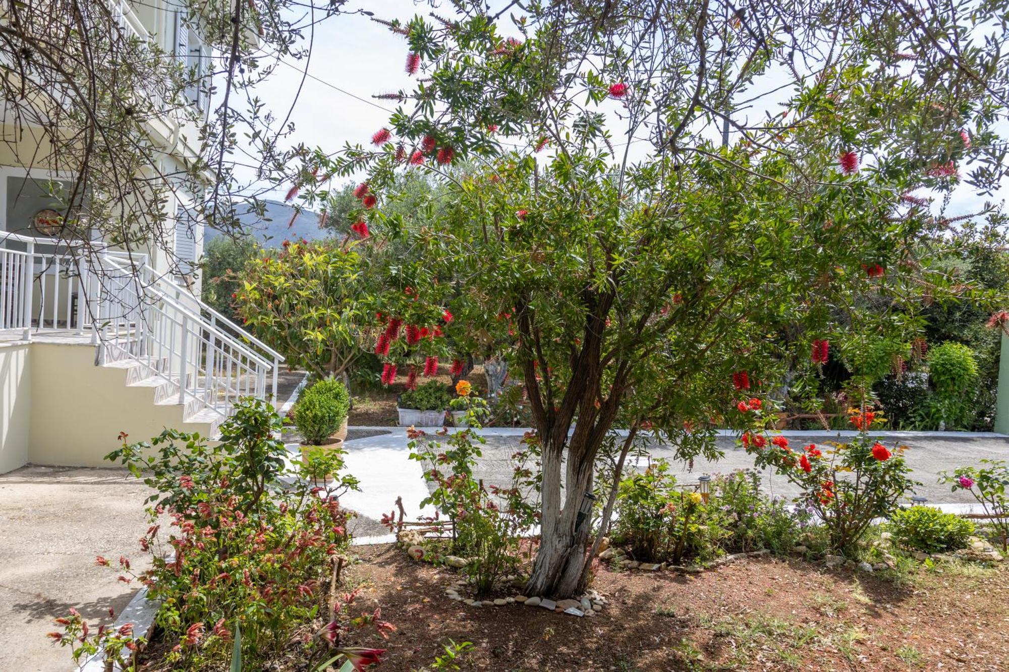 Sea & Olives House Villa Ликсури Екстериор снимка