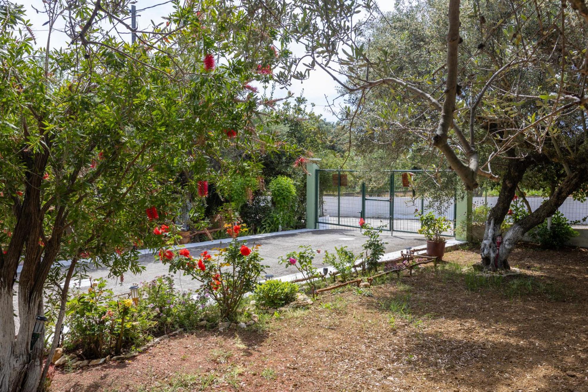Sea & Olives House Villa Ликсури Екстериор снимка